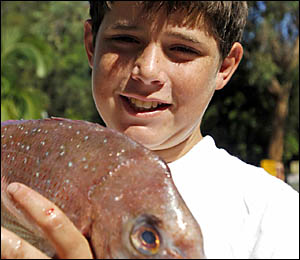 FISHERMAN?S FRIEND: Jeremy Cooper, 12, of South Grafton, shows the fruits of his labour at the Minnie Water family fishing day. FISHERMAN?S FRIEND: Jeremy Cooper, 12, of South Grafton, shows the fruits of his labour at the Minnie Water family fishing day.