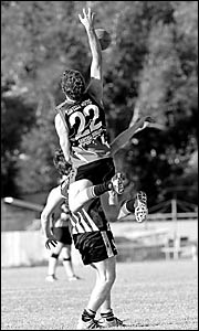 Sawtell/Toormina?s Brett Finney flies high above a Grafton opponent as his team powered away to a confidence-boosting win on Sa Sawtell/Toormina?s Brett Finney flies high above a Grafton opponent as his team powered away to a confidence-boosting win on Sa