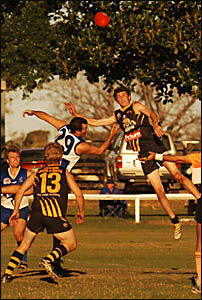 The Tigers were handed a 123-point thrashing by North Coffs at Ellem Oval on Saturday. The Tigers were handed a 123-point thrashing by North Coffs at Ellem Oval on Saturday.
