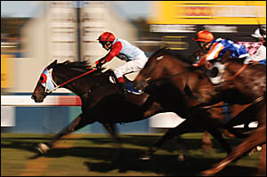 IN LIKE FLYNN: In Under There, ridden by Allan Robinson, streaks to victory in yesterday?s John Carlton Cup. Photo: ADAM HOURI IN LIKE FLYNN: In Under There, ridden by Allan Robinson, streaks to victory in yesterday?s John Carlton Cup. Photo: ADAM HOURI