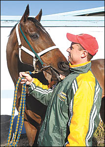 Coffs Harbour trainer Brett Dodson with rising nine-year-old Words of Magic which will contest today?s Ramornie Handicap at Gr Coffs Harbour trainer Brett Dodson with rising nine-year-old Words of Magic which will contest today?s Ramornie Handicap at Gr