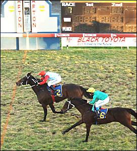 TIME TO GO: Meteorite flashes across the line to win the Roger Kelly Insurance Farewell Hcp (C6) 2050m from Satin Express.Ph TIME TO GO: Meteorite flashes across the line to win the Roger Kelly Insurance Farewell Hcp (C6) 2050m from Satin Express.Ph