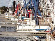 Ballina trawler harbour suggested as site for 100-berth marina. Ballina trawler harbour suggested as site for 100-berth marina.