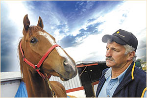 Coffs Harbour trainer, Gordon Yorke with six-year-old Fire Warrior Coffs Harbour trainer, Gordon Yorke with six-year-old Fire Warrior