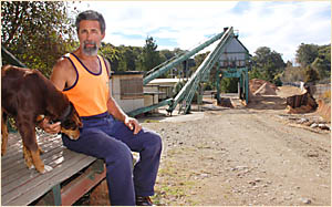 Daniel Lombo with the sawmill?s kelpie. Daniel Lombo with the sawmill?s kelpie.