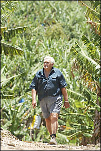 Veteran Woolgoolga banana grower Ron Gray will pay tax this year for the first time since 1995. Veteran Woolgoolga banana grower Ron Gray will pay tax this year for the first time since 1995.