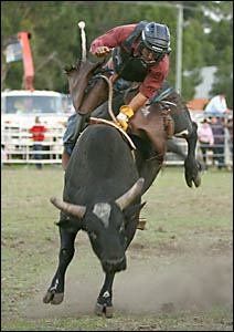 Luke Collard looks straight over the front of this bull. Luke Collard looks straight over the front of this bull.