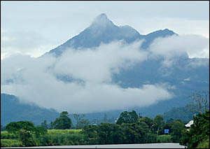 Mt Warning near the jungle location of the UK version of I'm a celebrity get me out of here. Mt Warning near the jungle location of the UK version of I'm a celebrity get me out of here.