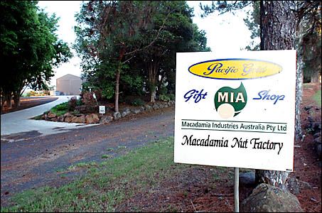 TROUBLED TIMES: Macadamia Industries? Pacific Gold macadamia nut factory at Dunoon. Picture: CATHY ADAMS TROUBLED TIMES: Macadamia Industries? Pacific Gold macadamia nut factory at Dunoon. Picture: CATHY ADAMS