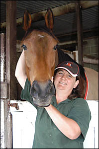 HITTING THE ROAD:Ballina trainer Janelle Shapter with one of her horses. HITTING THE ROAD:Ballina trainer Janelle Shapter with one of her horses.