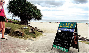 Some beachgoers ignored Tsunami warning signs at Main Beach, Byron Bay yesterday in front of the surf club. Some beachgoers ignored Tsunami warning signs at Main Beach, Byron Bay yesterday in front of the surf club.