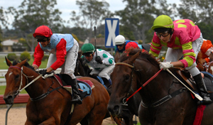 OMPING HOME: Innocentassie pins his ears back and runs down the leaders. Photo: DEBRAH NOVAK. OMPING HOME: Innocentassie pins his ears back and runs down the leaders. Photo: DEBRAH NOVAK.