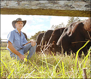 TICK BOARD GETS FLICK: Robbie Graham, of Goolmangar, a former member of the Board of Tick Control, pictured on his Goolmangar p TICK BOARD GETS FLICK: Robbie Graham, of Goolmangar, a former member of the Board of Tick Control, pictured on his Goolmangar p