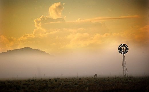 Early morning in the Mary Valley. Early morning in the Mary Valley.
