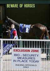 Barricades and signs are placed around the track as racing resumed after the EI outbreak at Caulfield racecourse, September 1. Barricades and signs are placed around the track as racing resumed after the EI outbreak at Caulfield racecourse, September 1.