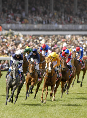 Racing into history ... Efficient, ridden by jockey M.Rodd, won the 2007 Melbourne Cup. AAP Racing into history ... Efficient, ridden by jockey M.Rodd, won the 2007 Melbourne Cup. AAP