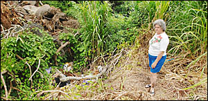 DUMPED: North Lismore resident Joyce Mulley and the dumped rubbish on the riverbank near the Italo Australian Sports Club in No DUMPED: North Lismore resident Joyce Mulley and the dumped rubbish on the riverbank near the Italo Australian Sports Club in No