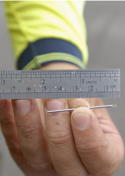 The offending object ... this was found in a prawn. The offending object ... this was found in a prawn.