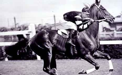 Phar Lap. Phar Lap.