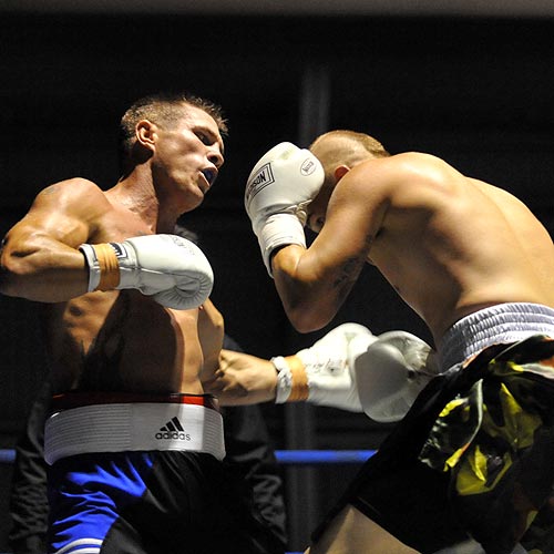 It’s a triple treat for Shamrock boxers Sunshine Coast Daily