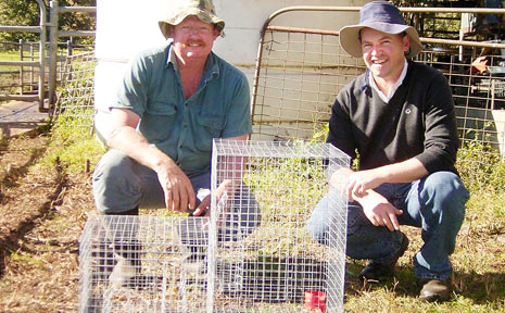 Darryl Rose and Lismore City Council’s Nick Stephens at Darryl’s Goolmangar property. Darryl has captured nearly 70 Indian mynas using these traps. Darryl Rose and Lismore City Council’s Nick Stephens at Darryl’s Goolmangar property. Darryl has captured nearly 70 Indian mynas using these traps.