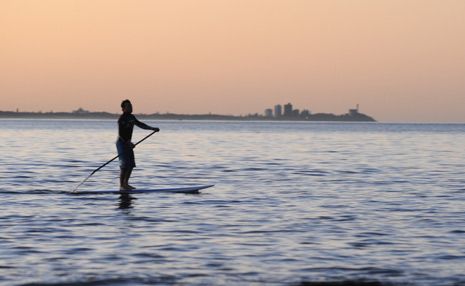 Now you can hire a stand up paddle board in Coffs Harbour. Now you can hire a stand up paddle board in Coffs Harbour.