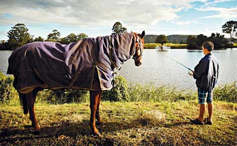 Brock Everingham, 13, of Pottsville, takes in some fishing much to the interest of one of his showjumping horses as they camp by the side of the Clarence River in preparation for the Maclean Show. Brock Everingham, 13, of Pottsville, takes in some fishing much to the interest of one of his showjumping horses as they camp by the side of the Clarence River in preparation for the Maclean Show.