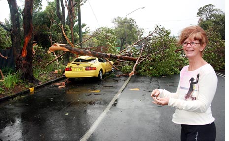 Robyn Buckland and her Toyota Celica flattened by a large branch last Thursday morning in Browning Street, Byron Bay. PHOTO: Gary Chigwidden. Robyn Buckland and her Toyota Celica flattened by a large branch last Thursday morning in Browning Street, Byron Bay. PHOTO: Gary Chigwidden.