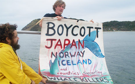 PICTURED is Dean Jefferys unfurling a protest banner on a Whale Watching Byron Bay boast last week. PICTURED is Dean Jefferys unfurling a protest banner on a Whale Watching Byron Bay boast last week.