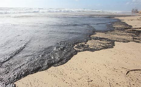 A despairing site of oil washing up onto Marcoola Beach after the Pacific Adventurer came to grief during Cyclone Hamish. A despairing site of oil washing up onto Marcoola Beach after the Pacific Adventurer came to grief during Cyclone Hamish.