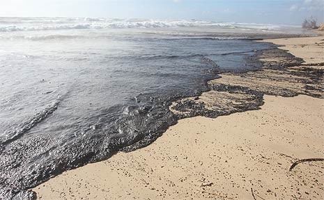 A despairing site of oil washing up onto Marcoola Beach after the Pacific Adventurer came to grief during Cyclone Hamish. A despairing site of oil washing up onto Marcoola Beach after the Pacific Adventurer came to grief during Cyclone Hamish.