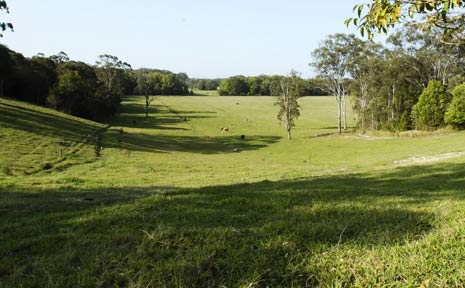 The Parklands site at Yelgun which the owners want to develop as a permanent event venue for music festivals such as last weekend’s Splendour in the Grass. The Parklands site at Yelgun which the owners want to develop as a permanent event venue for music festivals such as last weekend’s Splendour in the Grass.