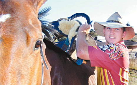 Active wild horse racing competitor David Hallman hopes the wild horse racing will continue at this year's Warwick Rodeo, despite a push from the RSPCA to see it canned from the program. Active wild horse racing competitor David Hallman hopes the wild horse racing will continue at this year's Warwick Rodeo, despite a push from the RSPCA to see it canned from the program.