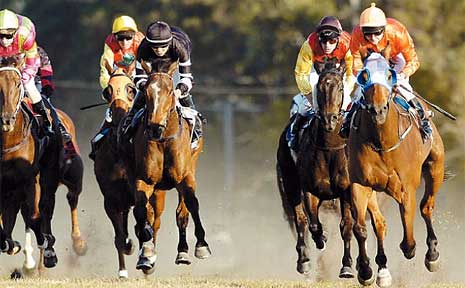 Jockey Michael Heagney takes River Street (far right) to the front to win the $20,000 Casino Cup. Jockey Michael Heagney takes River Street (far right) to the front to win the $20,000 Casino Cup.