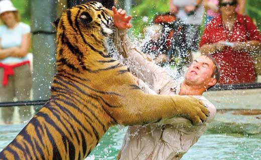 Australia Zoo has sacked 22 employees. Australia Zoo has sacked 22 employees.