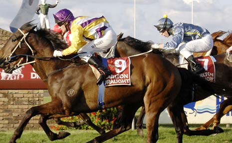 CUP BY A NOSE: Bann Ruby, ridden by Matthew Paget, edges out Montana Hilton in the Ballina Cup last year. CUP BY A NOSE: Bann Ruby, ridden by Matthew Paget, edges out Montana Hilton in the Ballina Cup last year.