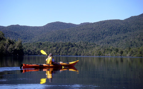 The only thing disturbing a paddle up the Gordon River is the occasional ripple from the occasional platypus or blue kingsifher at play. The only thing disturbing a paddle up the Gordon River is the occasional ripple from the occasional platypus or blue kingsifher at play.