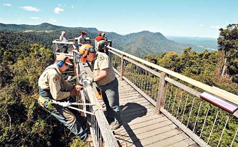 National Parks and Wildlife Service workers Les Bravery and Lance Meakins hard at work on the Dorrigo Skywalk. National Parks and Wildlife Service workers Les Bravery and Lance Meakins hard at work on the Dorrigo Skywalk.
