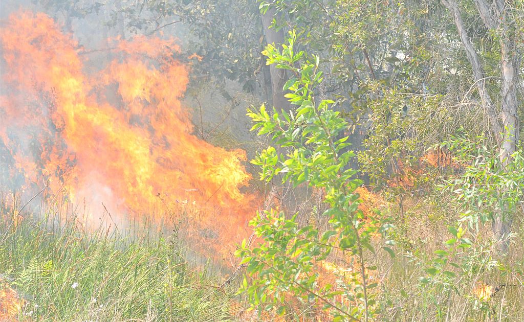 Firefighters on the Northern Rivers are busy battling a bushfire in the Nimbin Rocks area. Firefighters on the Northern Rivers are busy battling a bushfire in the Nimbin Rocks area.