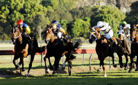 ALL-THE-WAY WIN: Lismore Cup winner Hecentadove (left), ridden by Marlon Dolendo, holds off the challenges in the straight yesterday.
ALL-THE-WAY WIN: Lismore Cup winner Hecentadove (left), ridden by Marlon Dolendo, holds off the challenges in the straight yesterday.
