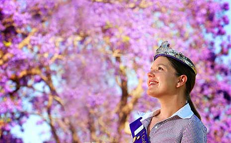 Come along and celebrate the 75th Grafton Jacaranda Festival on October 30 to November 8. Come along and celebrate the 75th Grafton Jacaranda Festival on October 30 to November 8.
