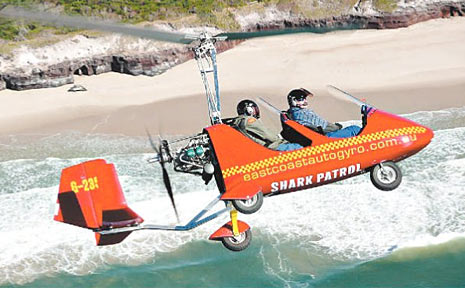 Aviation company East Coast Autogyro has begun patrolling beaches for sharks. Aviation company East Coast Autogyro has begun patrolling beaches for sharks.