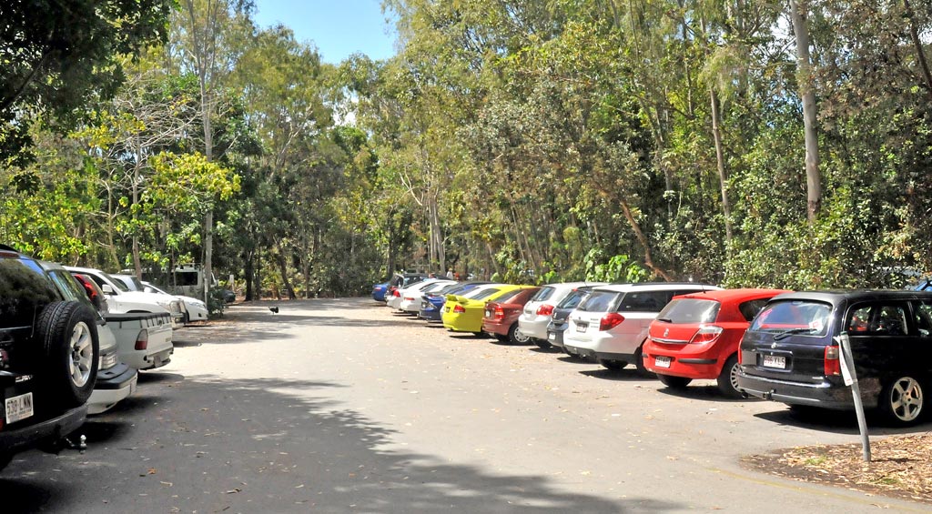 If any one of these cars is unlocked and the driver is more than three metres away a fine is looming. If any one of these cars is unlocked and the driver is more than three metres away a fine is looming.