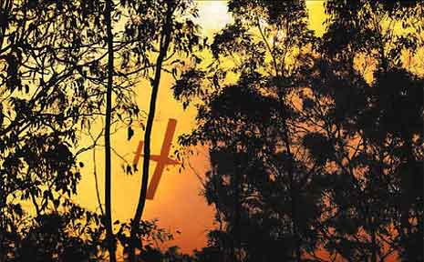 Water bombing aircraft have been called in to bring a bushfire in the Toowoomba region under control. Water bombing aircraft have been called in to bring a bushfire in the Toowoomba region under control.