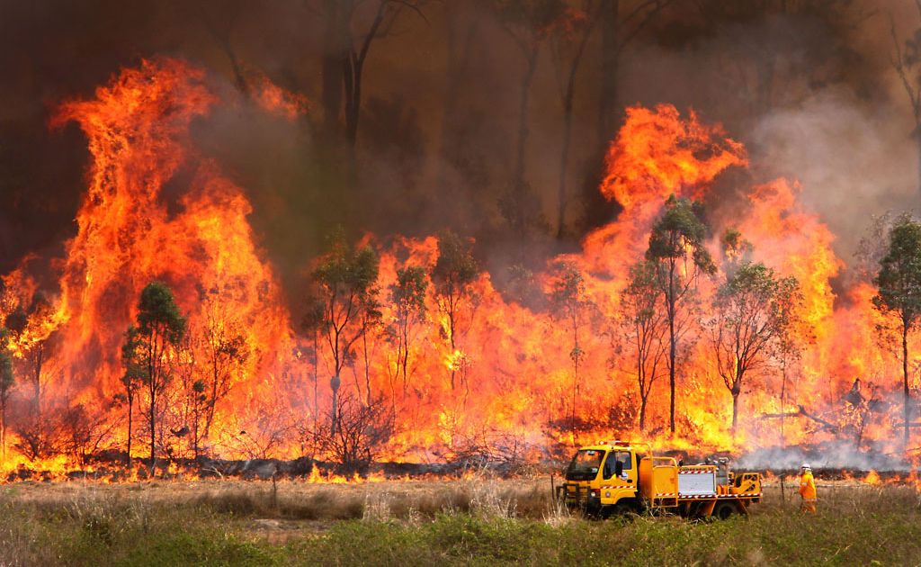 Firefighters backburn along Sleipners Road to contain a large bushfire in New Zealand Gully East of Mount Archer. Firefighters backburn along Sleipners Road to contain a large bushfire in New Zealand Gully East of Mount Archer.