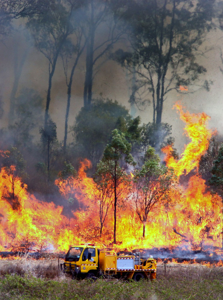 Firefighters backburn near New Zealand Gully to try and contain a large bushfire. Firefighters backburn near New Zealand Gully to try and contain a large bushfire.