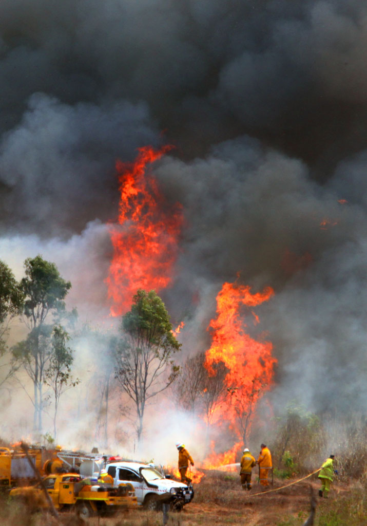Firefighters backburn near New Zealand Gully to try and contain a large bushfire. Firefighters backburn near New Zealand Gully to try and contain a large bushfire.