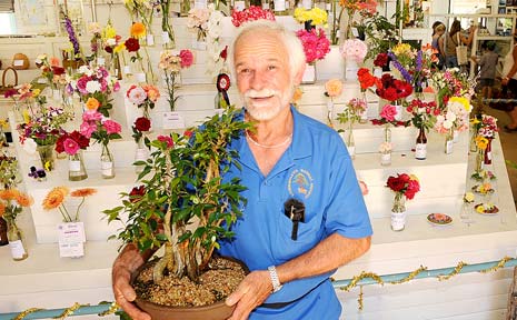 PATIENCE A VIRTUE: Robert Williams, of Richmond Hill, with his prize-winning dwarf fig bonsai at the North Coast National. PATIENCE A VIRTUE: Robert Williams, of Richmond Hill, with his prize-winning dwarf fig bonsai at the North Coast National.