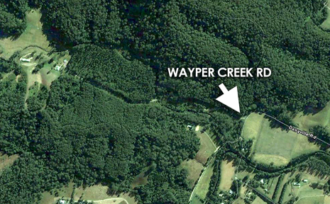 The forest near Dairyville where the torso was found. The forest near Dairyville where the torso was found.