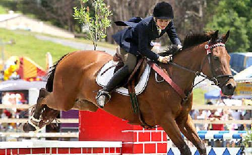 BRIANNON Lang competing in the showjumping at last year’s Murwillumbah Show. BRIANNON Lang competing in the showjumping at last year’s Murwillumbah Show.